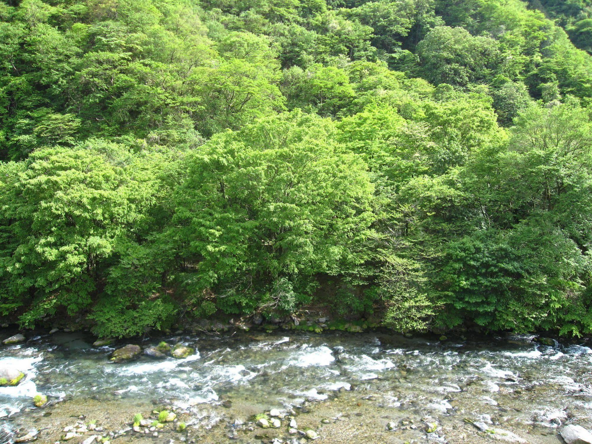 فندق Koduchi No Yado Tsurukamedaikichi نيكو المظهر الخارجي الصورة